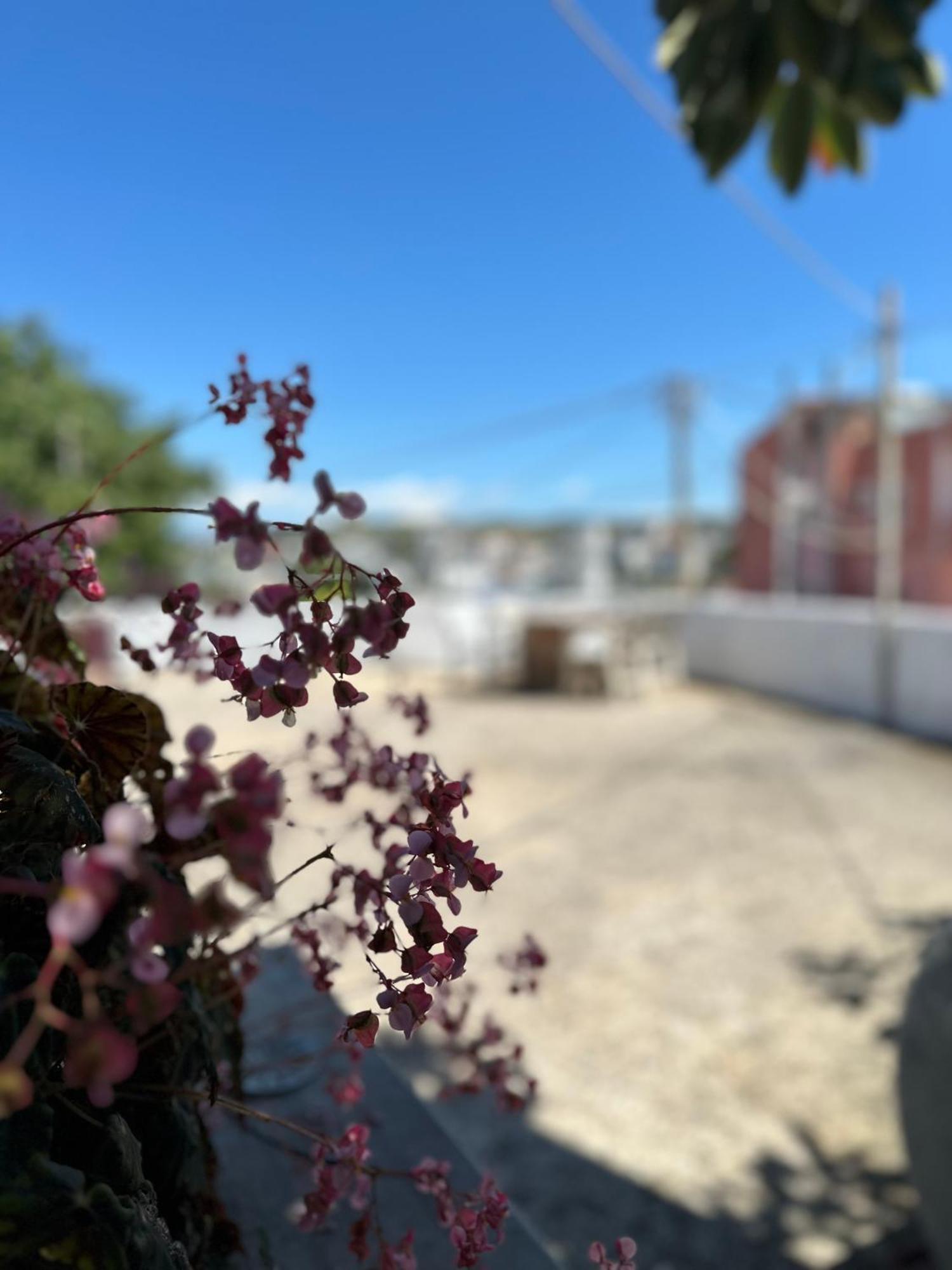 Albi'S Guesthouse Ksamil Bagian luar foto